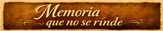 Baner de seccion